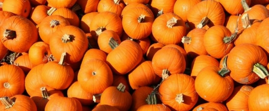The Benefits Of Pumpkin